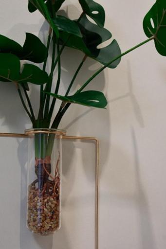 Domenica 1 Apartmán Soluň